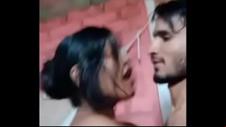 Indian Love Bird Video